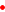 sgbolletje.gif